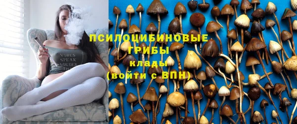 ешки Алзамай